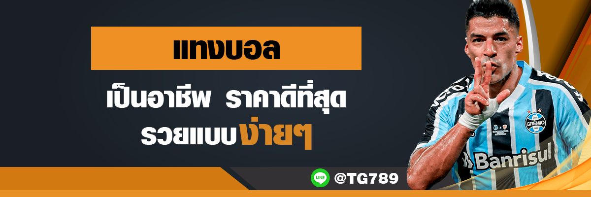 แทงบอลเป็นอาชีพ ราคาดีที่สุด รวยแบบง่ายๆ TG789